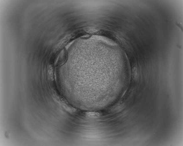 X0000103150234200809051644