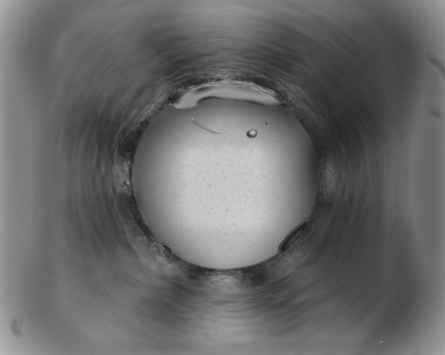 X0000103150236200809051644