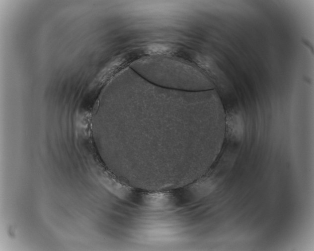 X0000103150237200809051644