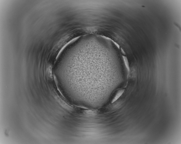 X0000103150238200809051644