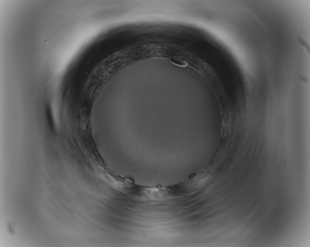 X0000103150239200809051644