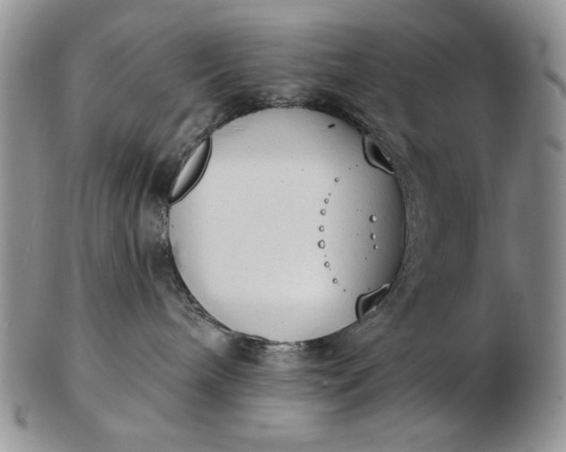 X0000103150240200809051644