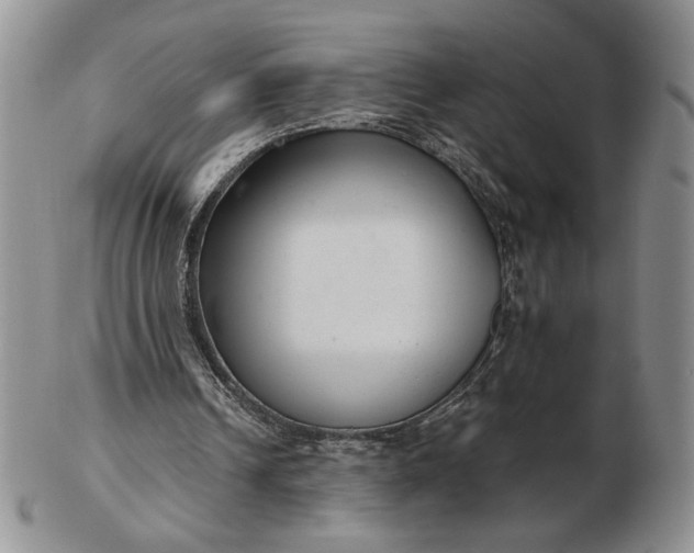 X0000103150242200809051643