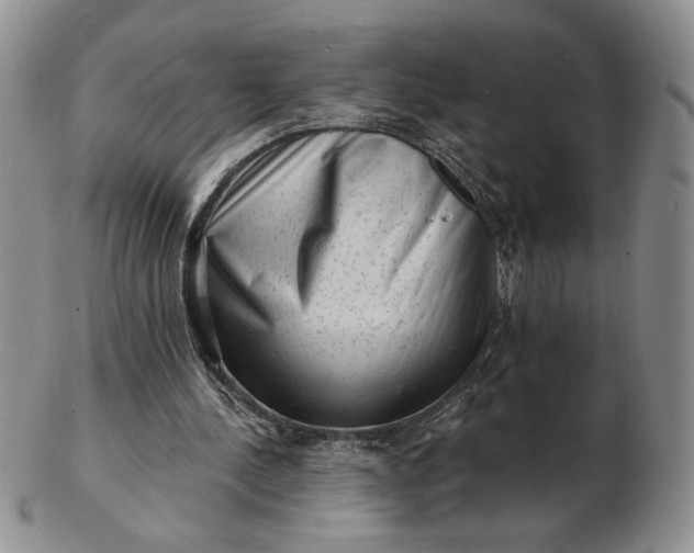 X0000103150244200809051643