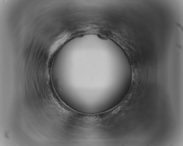 X0000103150245200809051643