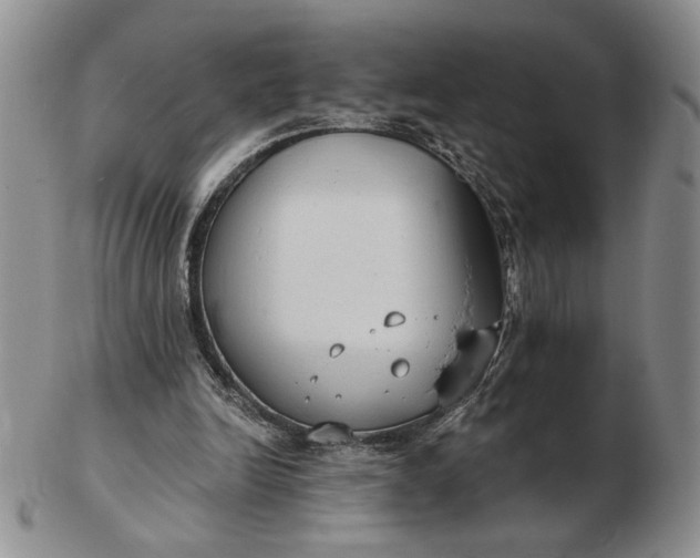 X0000103150246200809051643