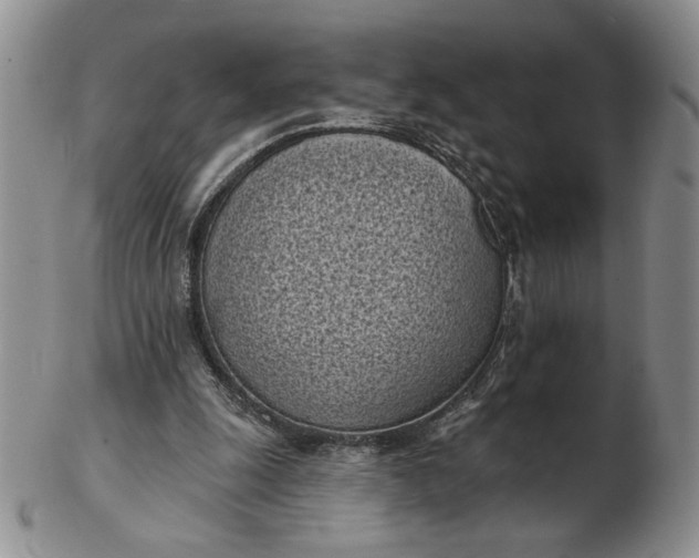 X0000103150247200809051643