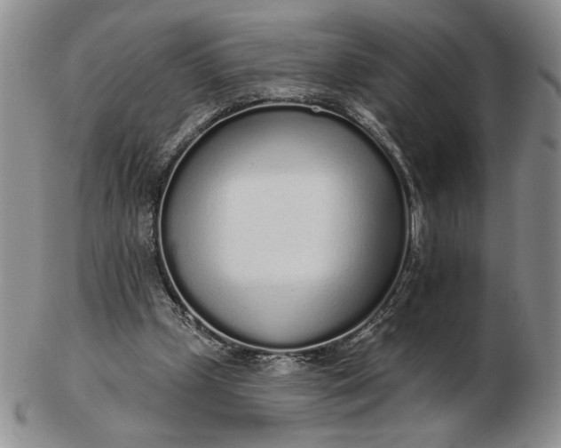 X0000103150249200809051643