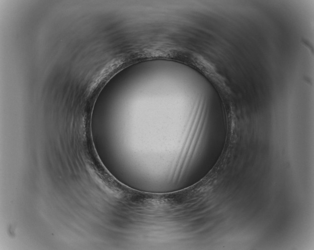 X0000103150250200809051643