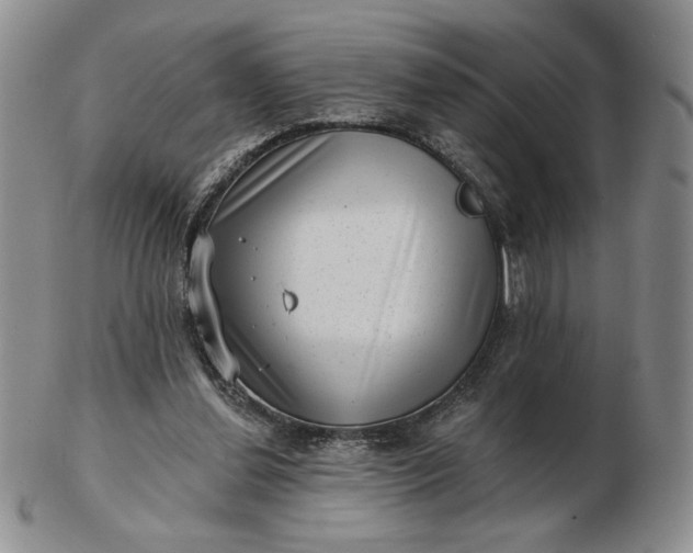 X0000103150252200809051643