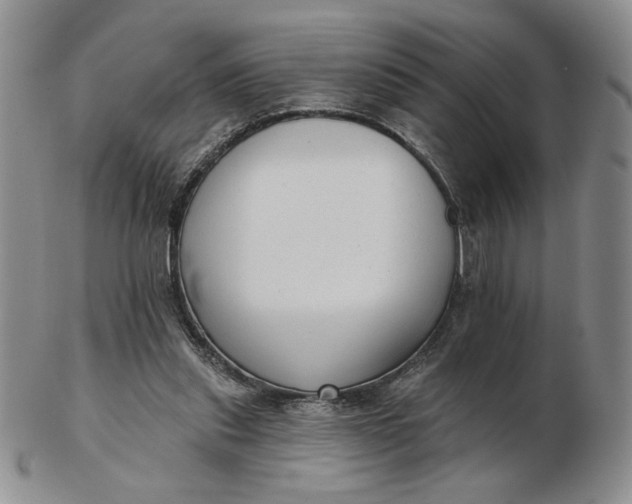 X0000103150253200809051643