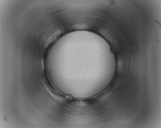 X0000103150254200809051643