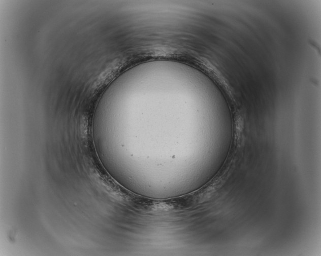 X0000103150257200809051644