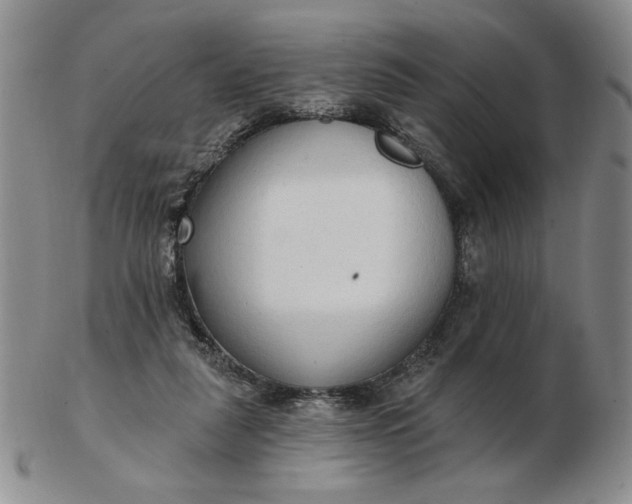 X0000103150259200809051644