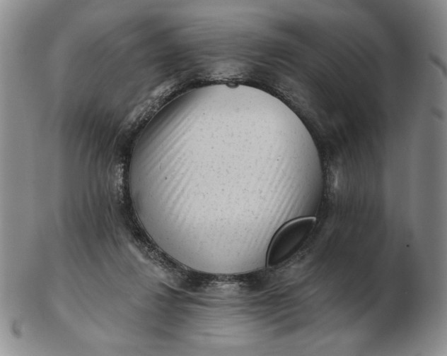 X0000103150260200809051644