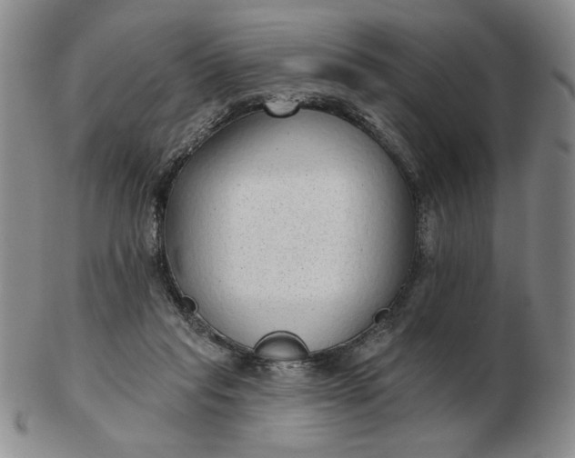 X0000103150261200809051644