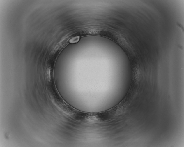 X0000103150262200809051644