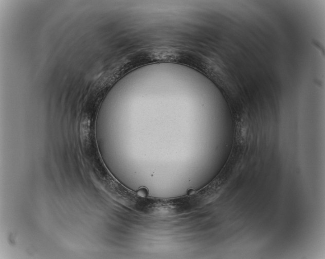 X0000103150263200809051644