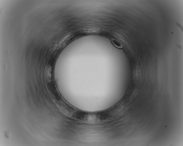 X0000103150264200809051644