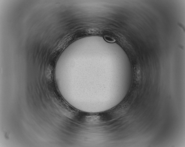 X0000103150266200809051644