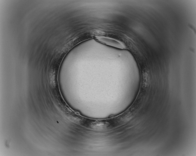 X0000103150267200809051644