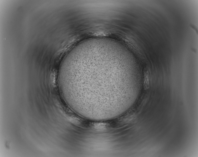 X0000103150268200809051644