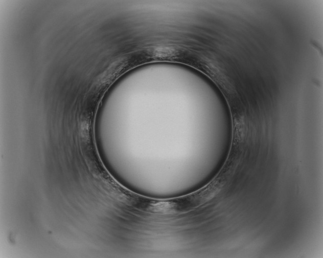 X0000103150269200809051644