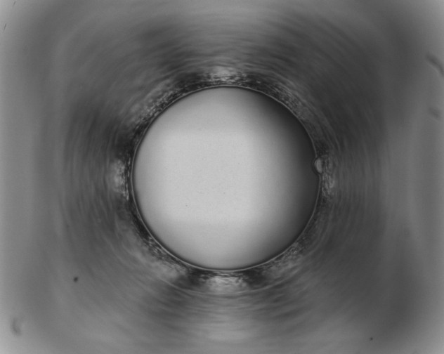 X0000103150270200809051644