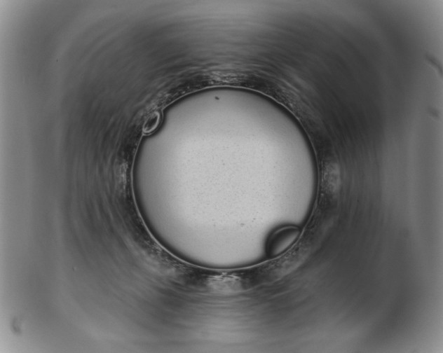 X0000103150271200809051644