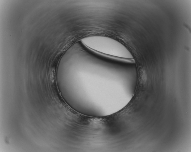 X0000103150273200809051644