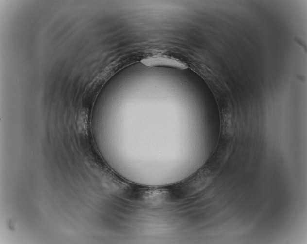 X0000103150274200809051644