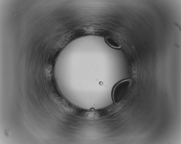 X0000103150275200809051644