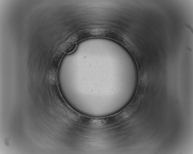 X0000103150277200809051644