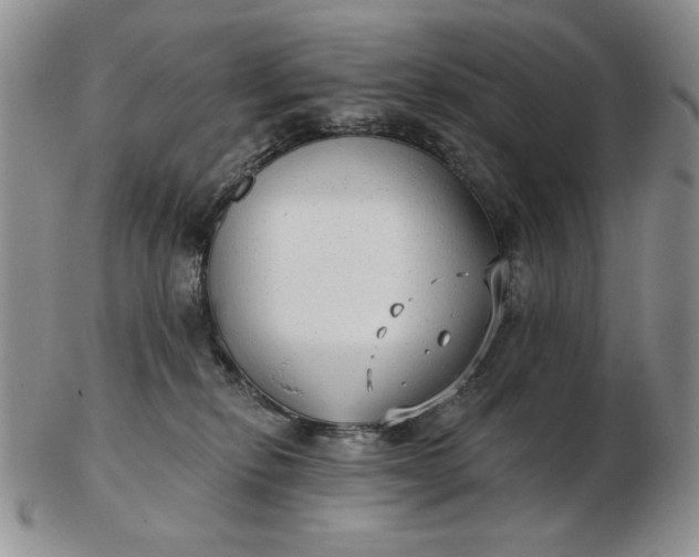 X0000103150278200809051644