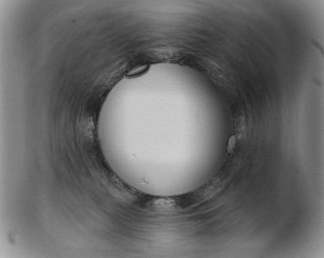 X0000103150279200809051644