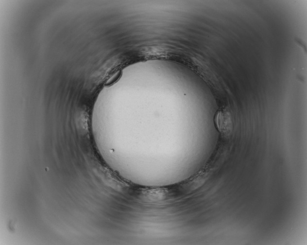 X0000103150282200809051644