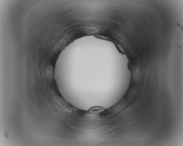 X0000103150283200809051644