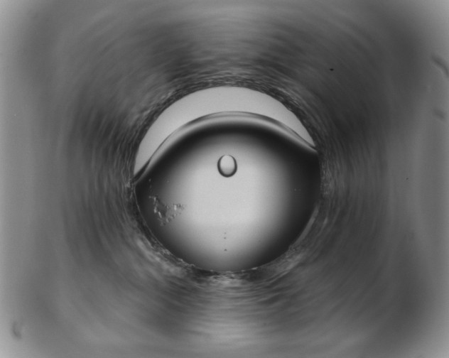 X0000103150284200809051644