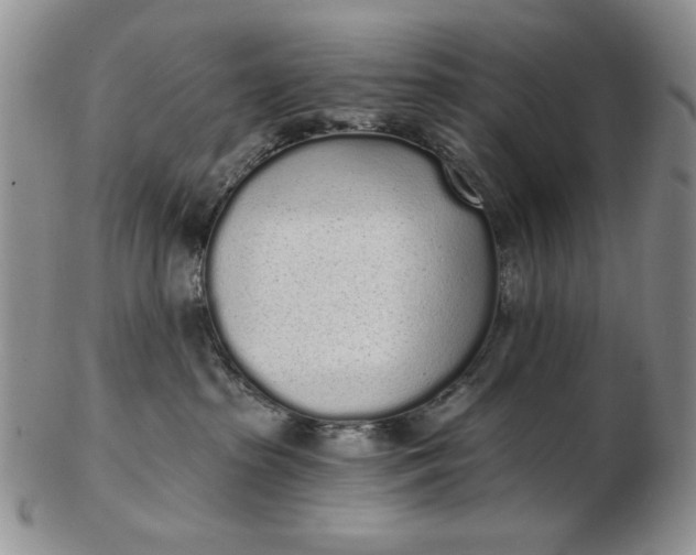 X0000103150285200809051644