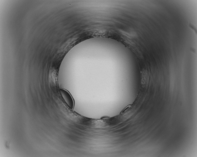 X0000103150287200809051644