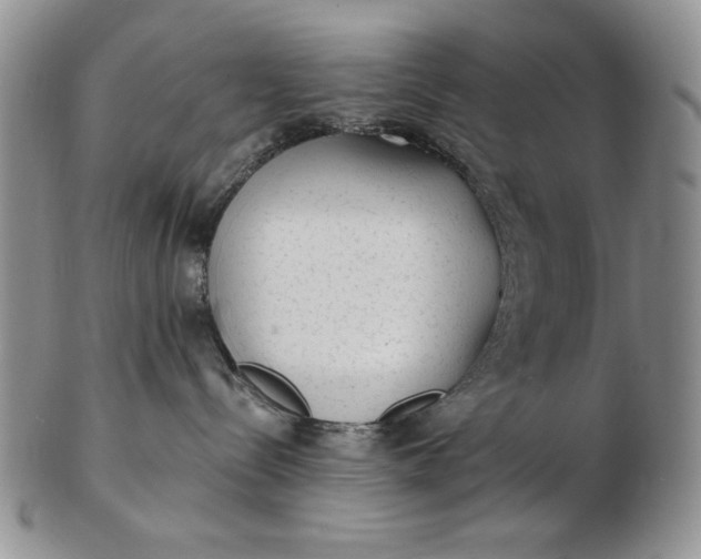 X0000103150288200809051644