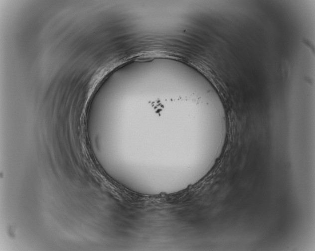 X0000103150289200809051643