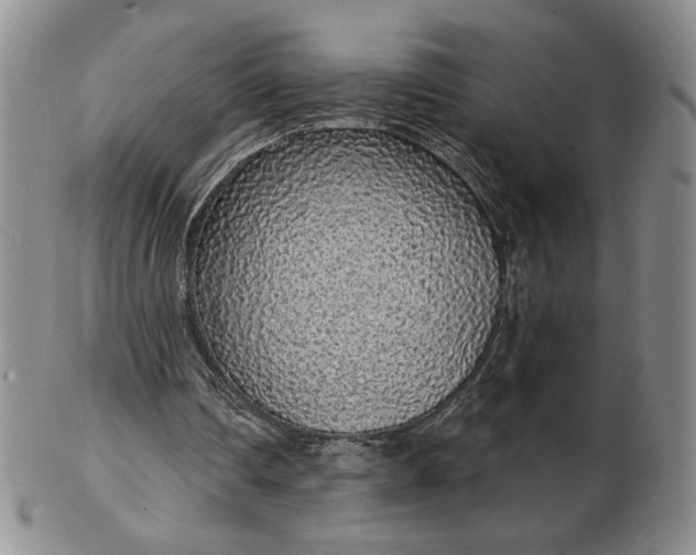 X0000103150290200809051643