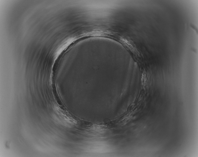 X0000103150292200809051643