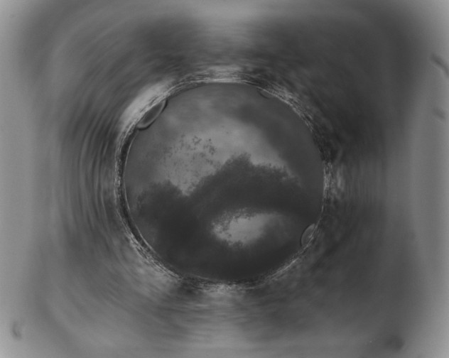 X0000103150293200809051643