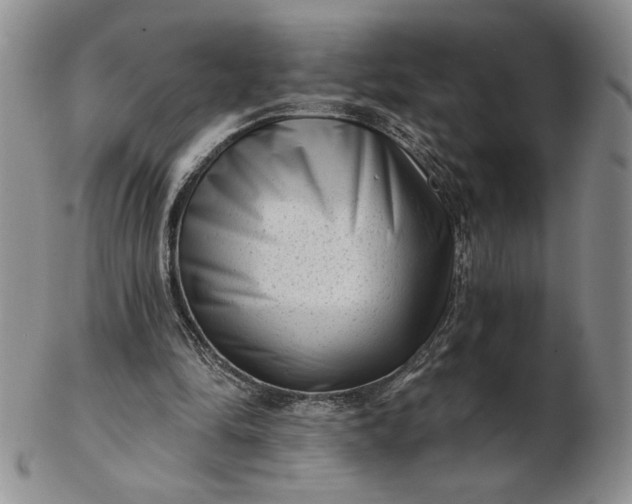 X0000103150294200809051643