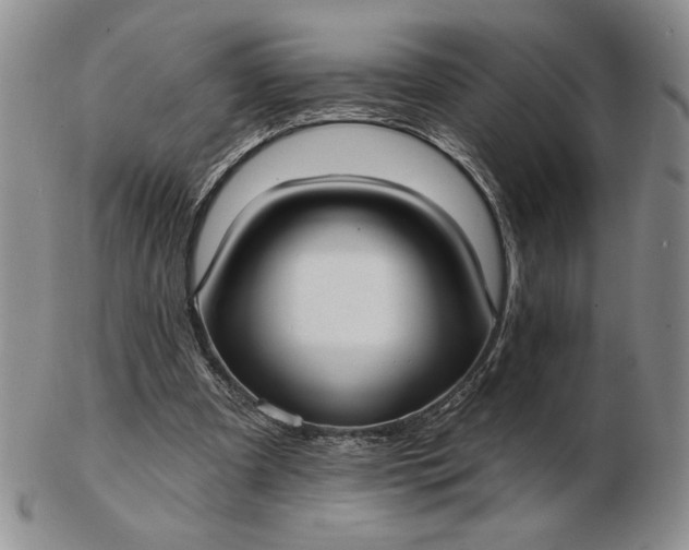 X0000103150297200809051643