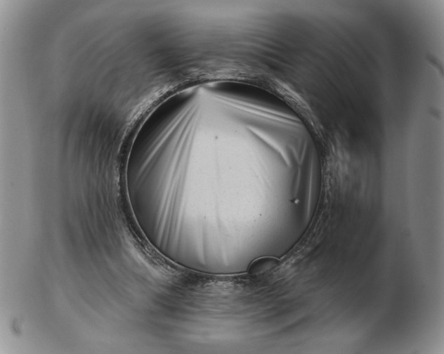 X0000103150298200809051643