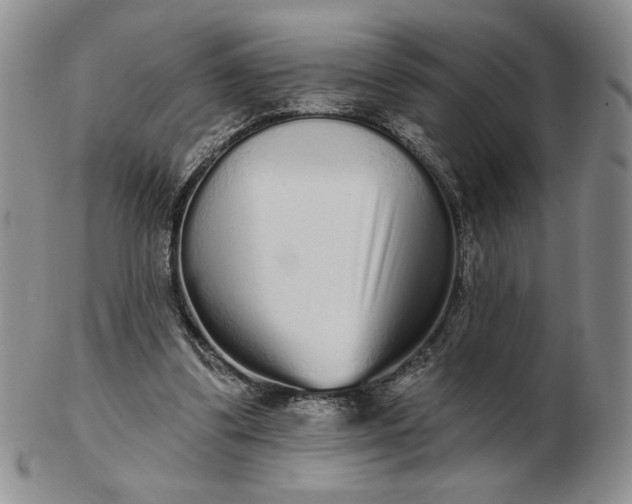 X0000103150299200809051643