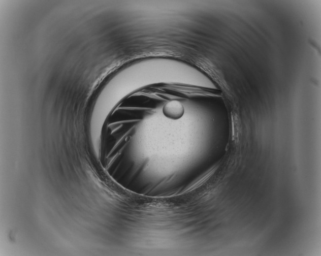 X0000103150300200809051643